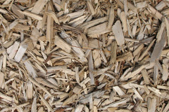 biomass boilers Swarkestone